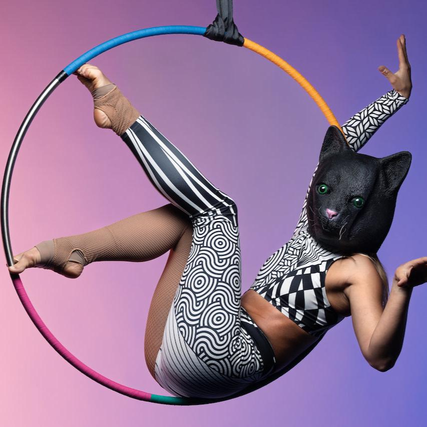 Lyra Aerial Hoop - Solid