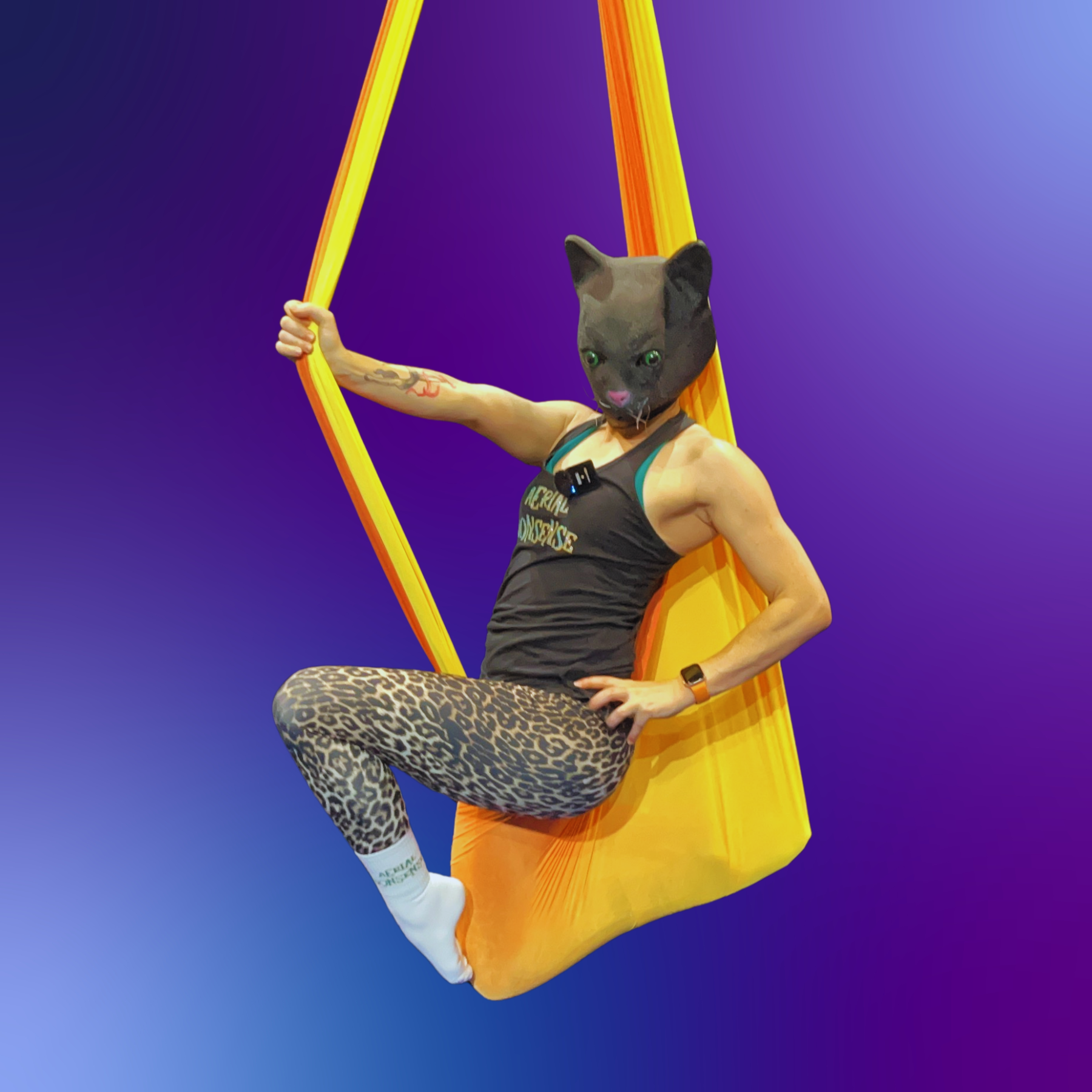 Ombre Aerial Hammock