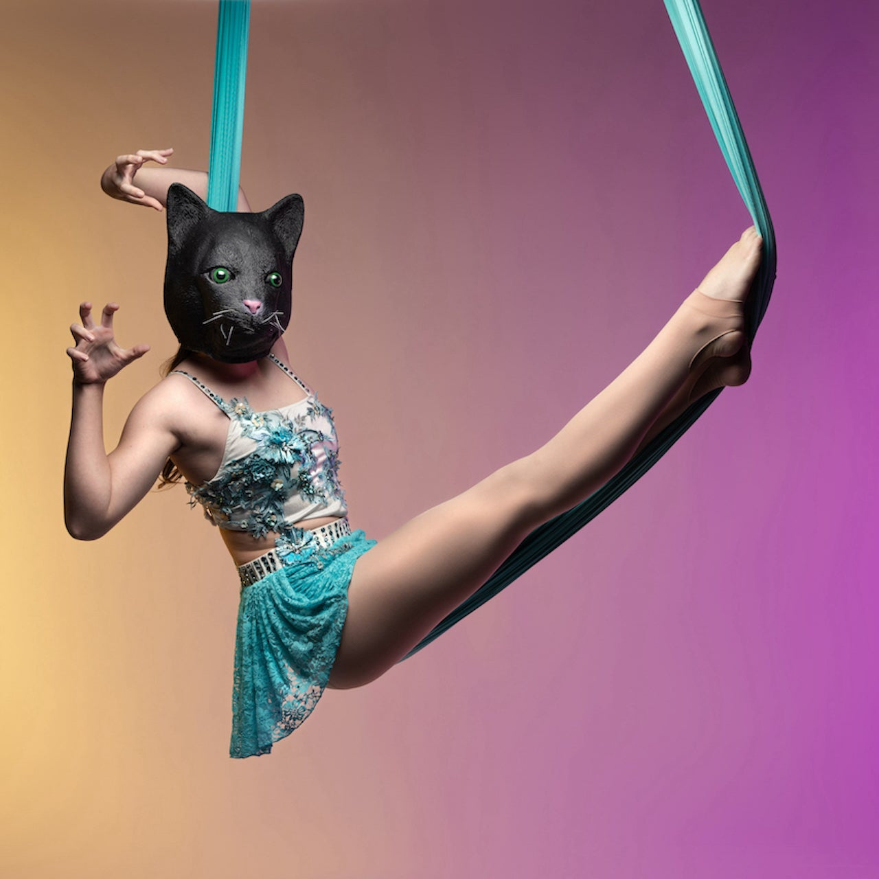 Aerial Fabric - Hammock