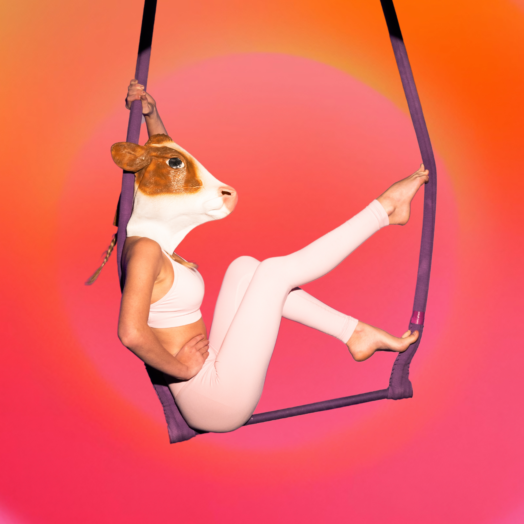 Aerial Rig-  Basic Rigging Kit