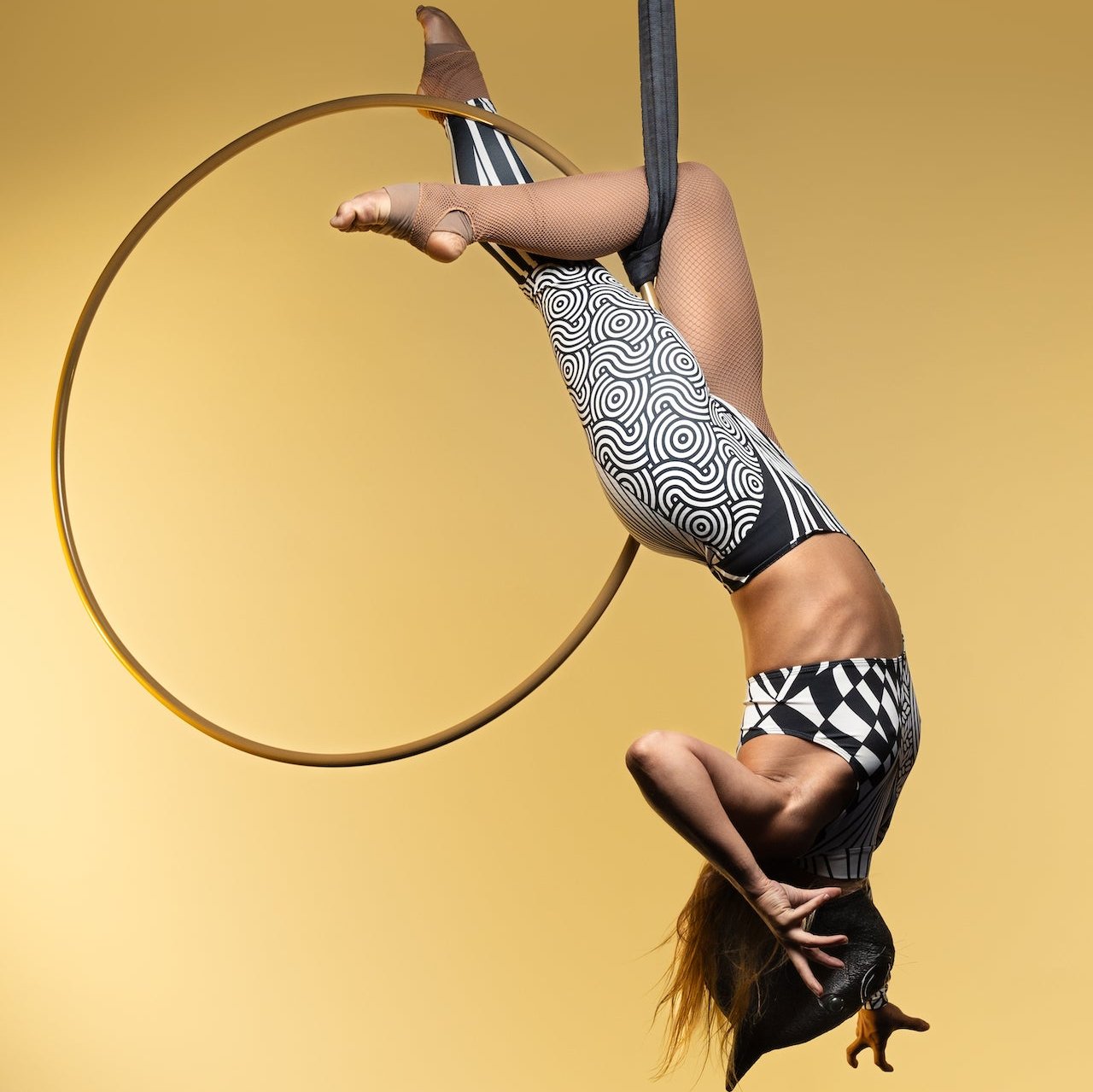 Aerial Hoop - Lyra