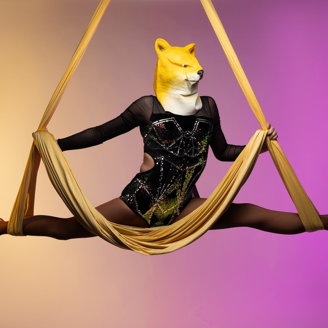 Aerial Silk Fabric Yellow - Aerial Nonsense