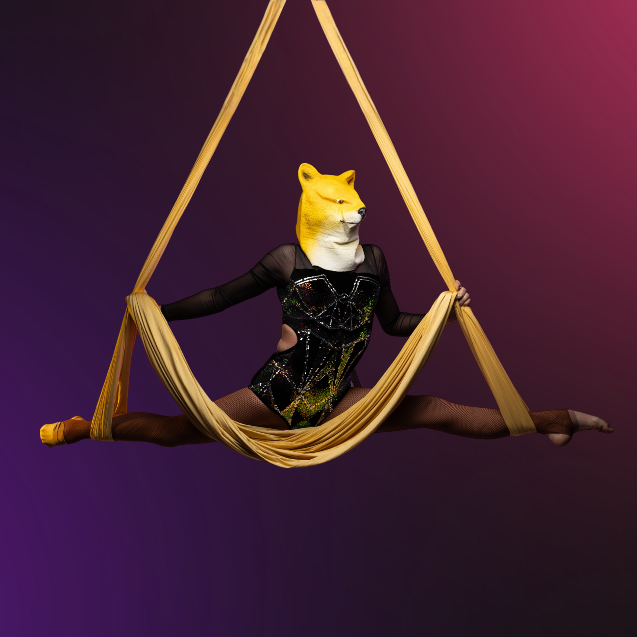Low Stretch Aerial Hammock